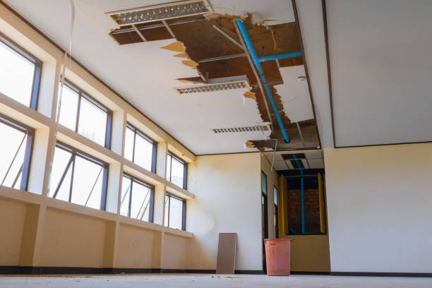 Best Water damage restoration near me  in Alexandria, VA