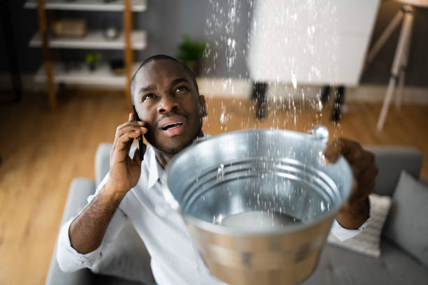 Trusted Alexandria, VA Water damage restoration Experts