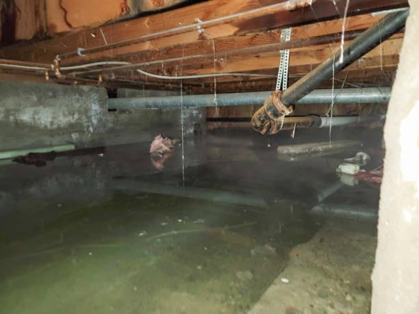  Alexandria, VA Water damage restoration Pros