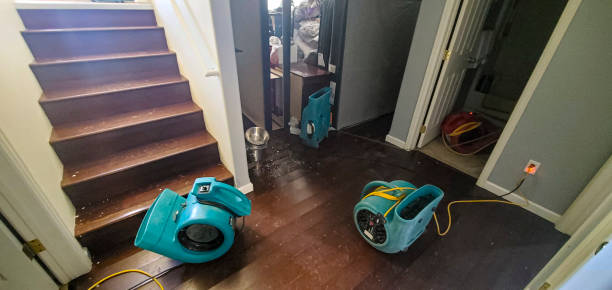 Best Water damage repair service  in Alexandria, VA