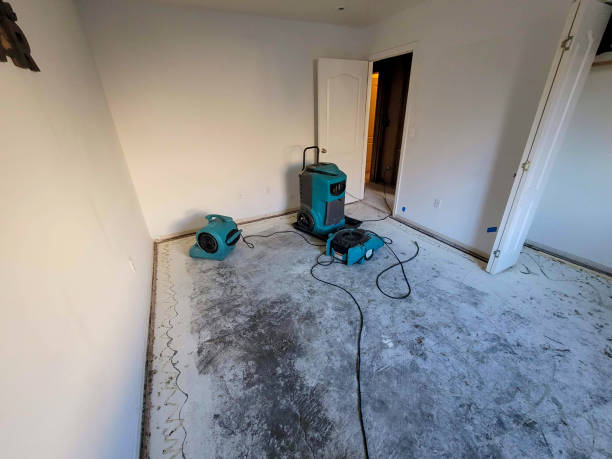 Local water damage restoration in Alexandria, VA