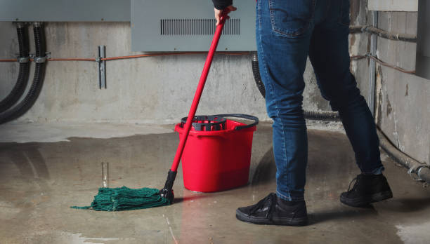 Best Water damage restoration services  in Alexandria, VA