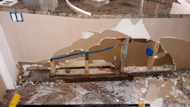 Best Flooded house restoration  in Alexandria, VA