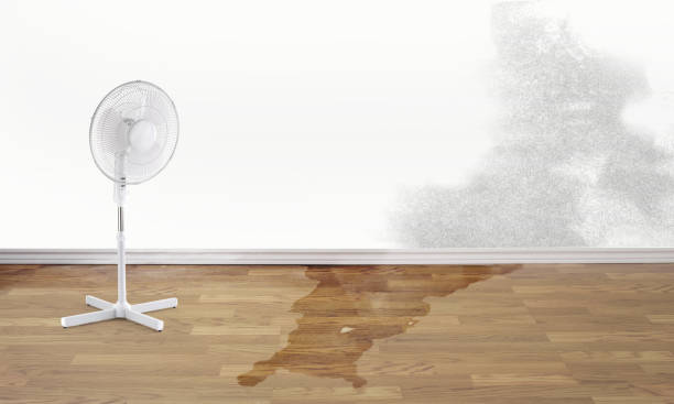 Best Water damage restoration process  in Alexandria, VA