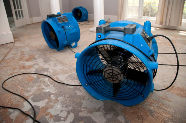 Best Flooded house restoration  in Alexandria, VA