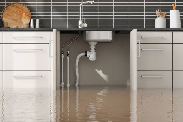 Best Mold removal after water damage  in Alexandria, VA