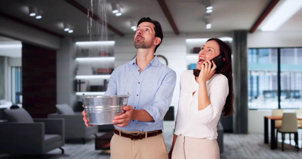 Best Mold removal after water damage  in Alexandria, VA