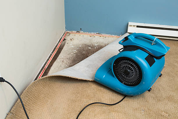 Best Local water damage restoration  in Alexandria, VA